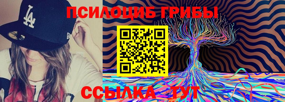 Псилоцибиновые грибы Psilocybine cubensis Спасск-Дальний